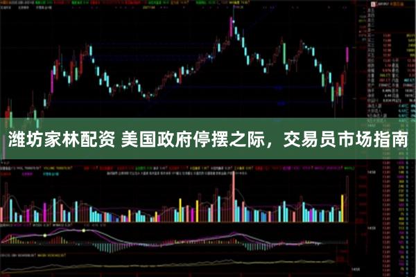 潍坊家林配资 美国政府停摆之际，交易员市场指南