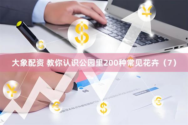 大象配资 教你认识公园里200种常见花卉（7）