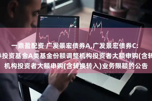 一鼎盈配资 广发景宏债券A,广发景宏债券C: 关于广发景宏债券型证券投资基金A类基金份额调整机构投资者大额申购(含转换转入)业务限额的公告